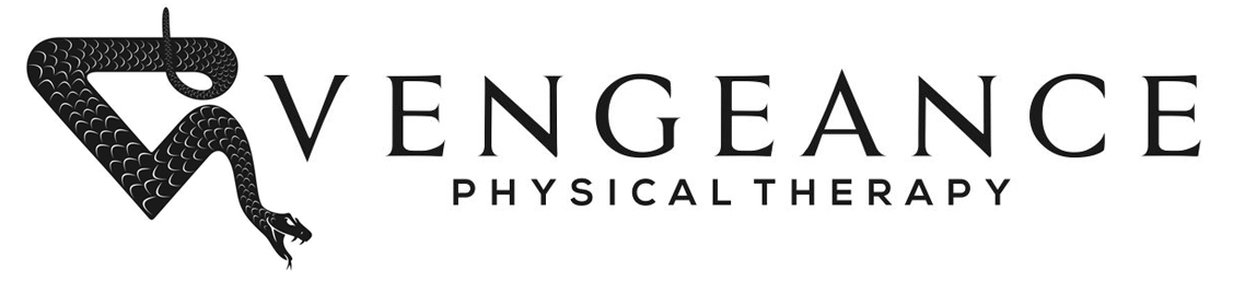 Vengeance Physical Therapy
