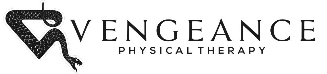 Vengeance Physical Therapy